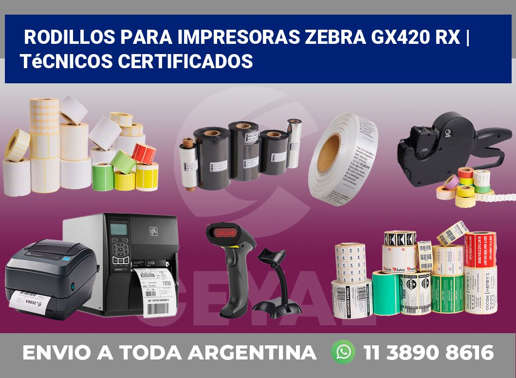 Rodillos para impresoras Zebra GX420 RX | Técnicos certificados