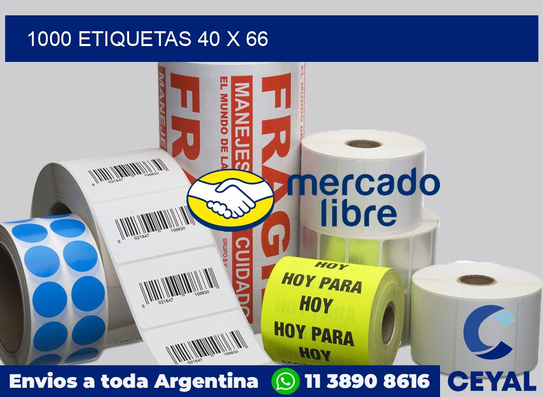 1000 etiquetas 40 x 66