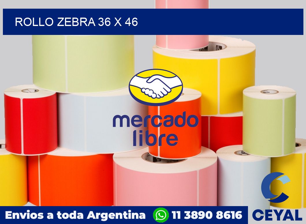 rollo zebra 36 x 46