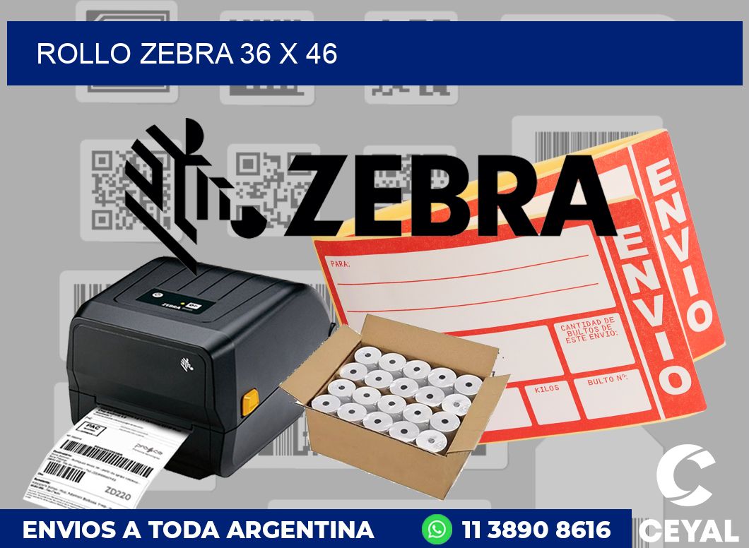 rollo zebra 36 x 46