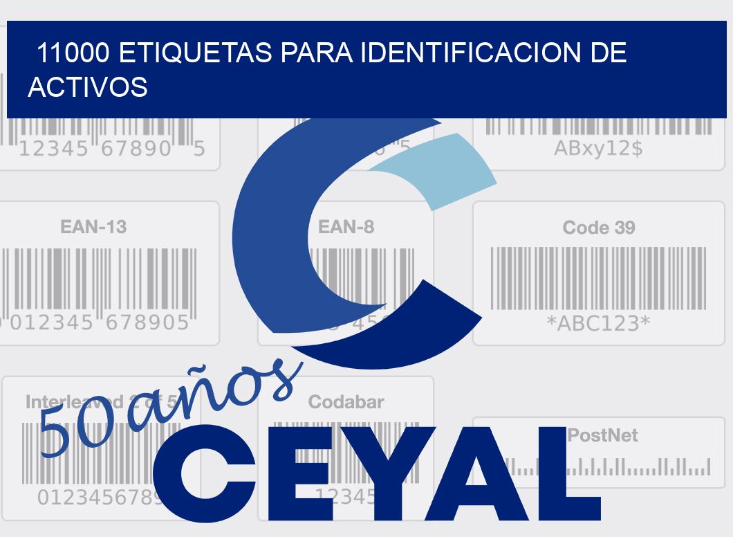 11000 ETIQUETAS PARA IDENTIFICACION DE ACTIVOS