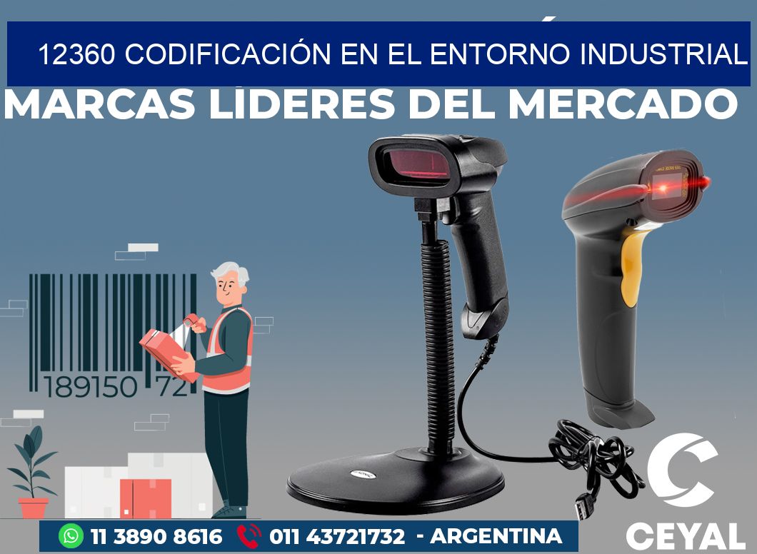 12360 CODIFICACIÓN EN EL ENTORNO INDUSTRIAL