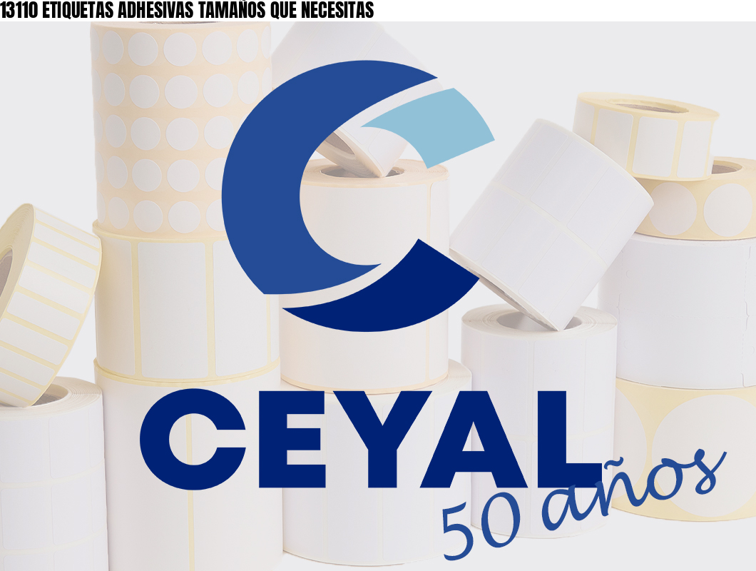 13110 ETIQUETAS ADHESIVAS TAMAÑOS QUE NECESITAS