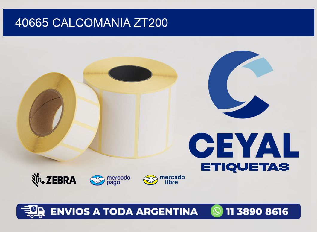 40665 CALCOMANIA ZT200