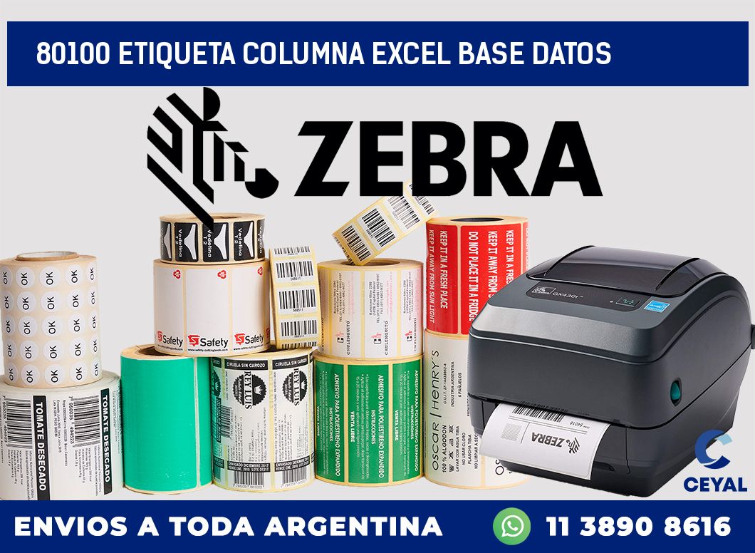 80100 etiqueta columna excel base datos