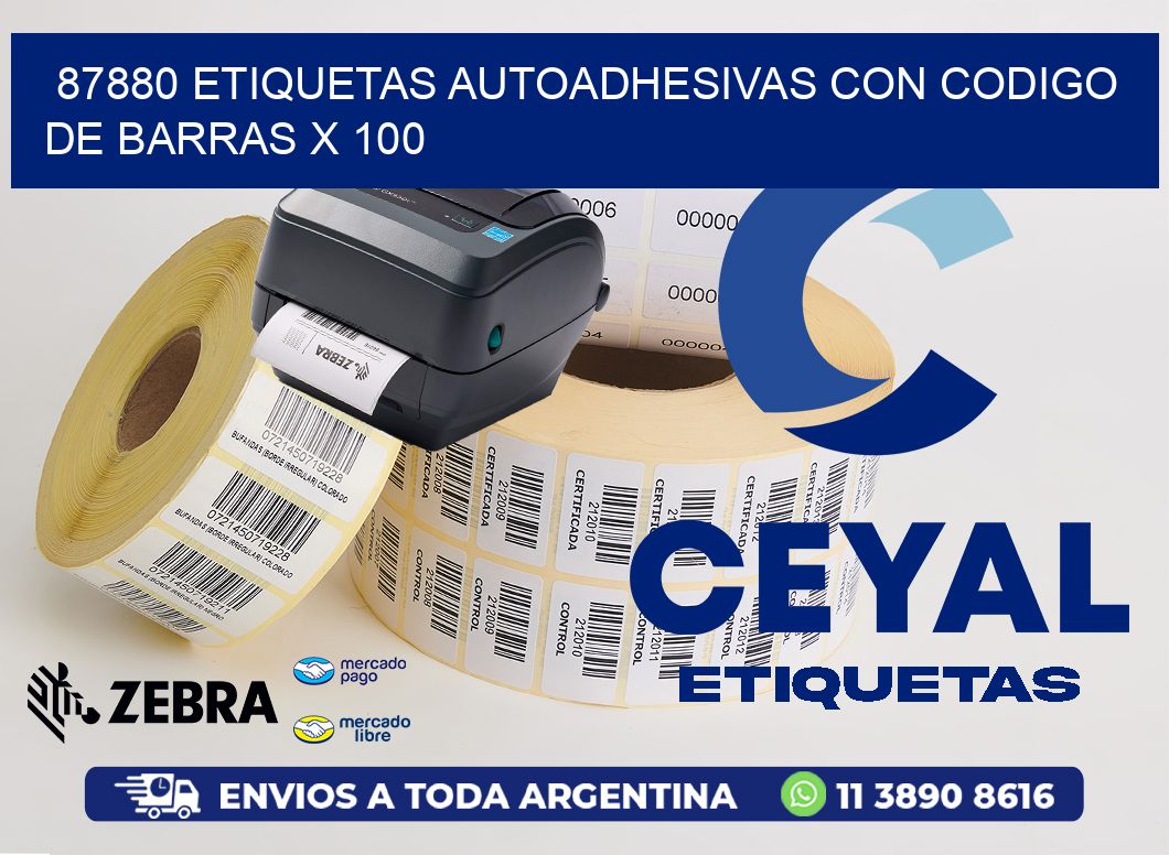 87880 ETIQUETAS AUTOADHESIVAS CON CODIGO DE BARRAS X 100