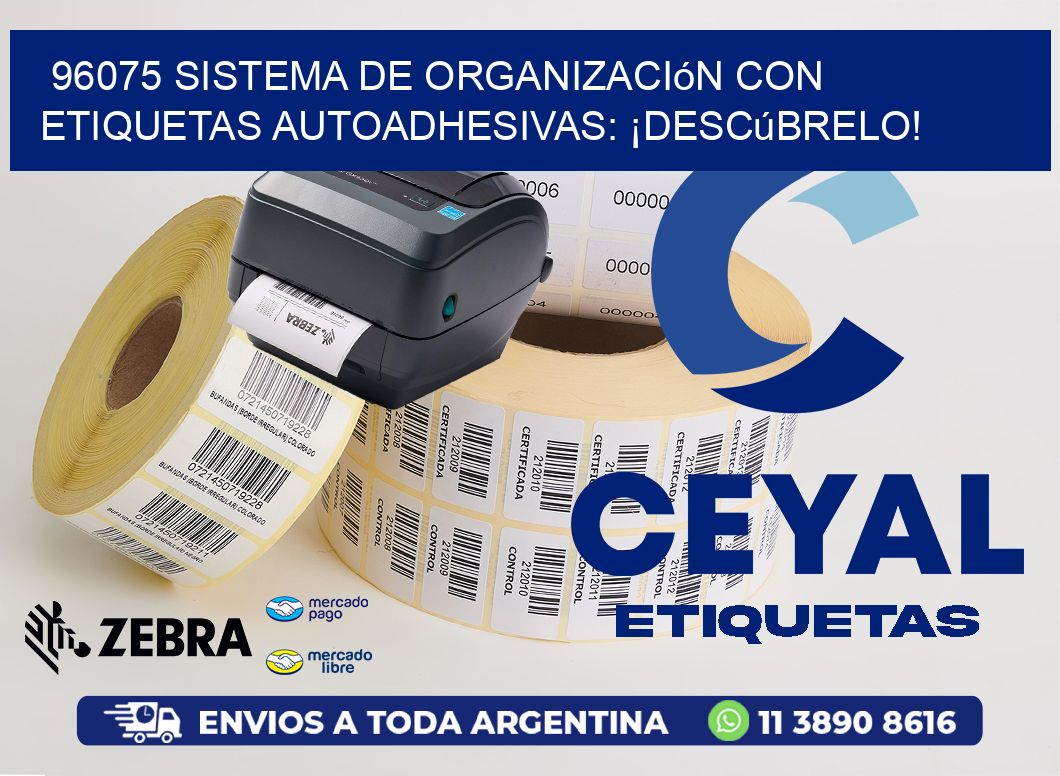 96075 Sistema de Organización con Etiquetas Autoadhesivas: ¡Descúbrelo!