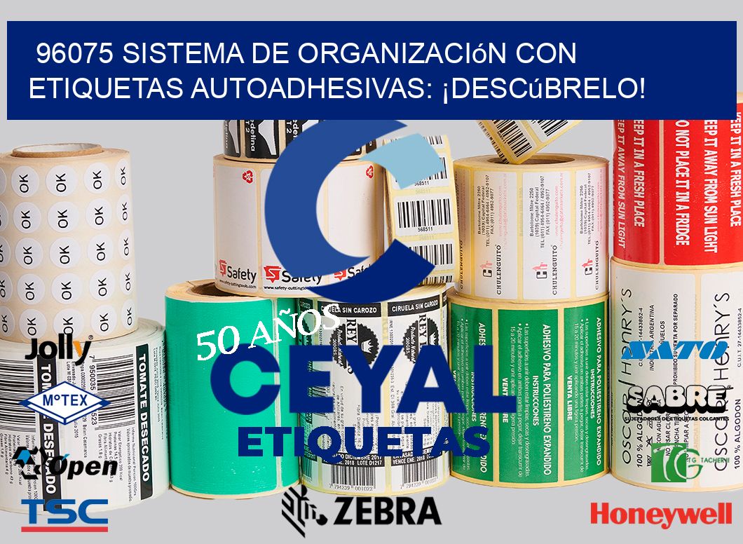 96075 Sistema de Organización con Etiquetas Autoadhesivas: ¡Descúbrelo!