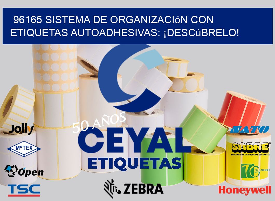 96165 Sistema de Organización con Etiquetas Autoadhesivas: ¡Descúbrelo!