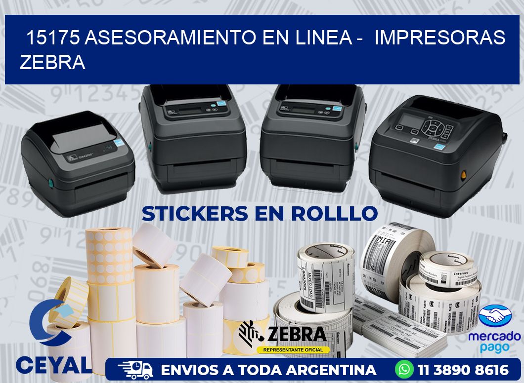 15175 ASESORAMIENTO EN LINEA -  IMPRESORAS ZEBRA