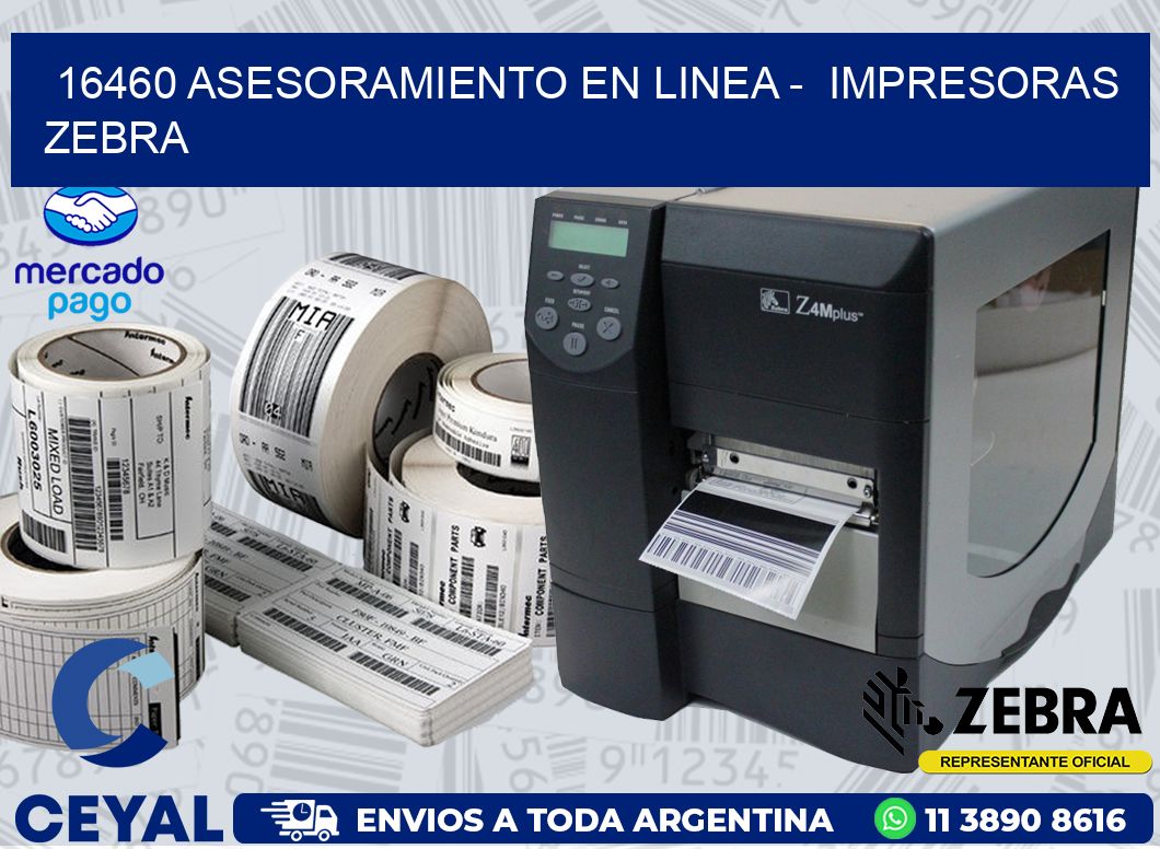 16460 ASESORAMIENTO EN LINEA -  IMPRESORAS ZEBRA