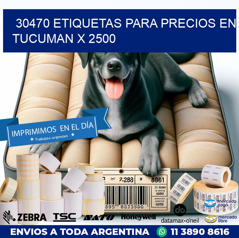 30470 ETIQUETAS PARA PRECIOS EN TUCUMAN X 2500