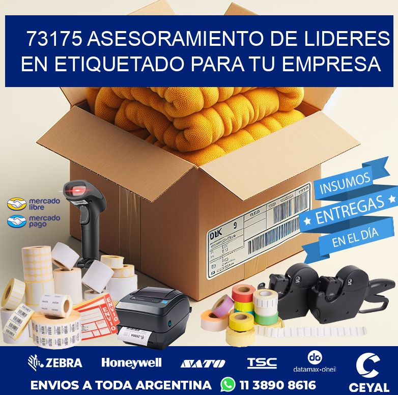 73175 ASESORAMIENTO DE LIDERES EN ETIQUETADO PARA TU EMPRESA