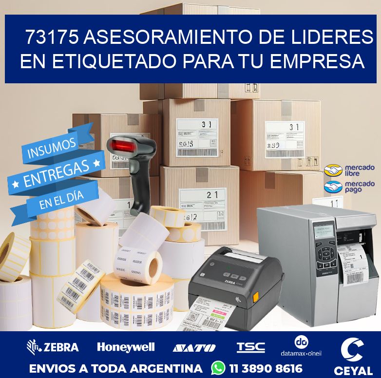 73175 ASESORAMIENTO DE LIDERES EN ETIQUETADO PARA TU EMPRESA