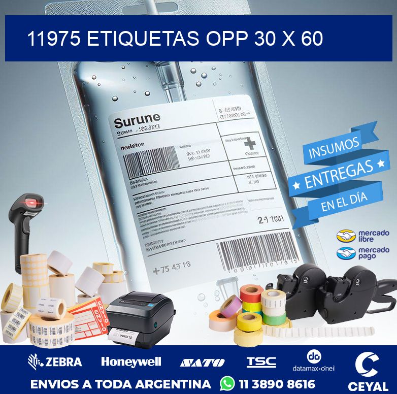 11975 ETIQUETAS OPP 30 X 60
