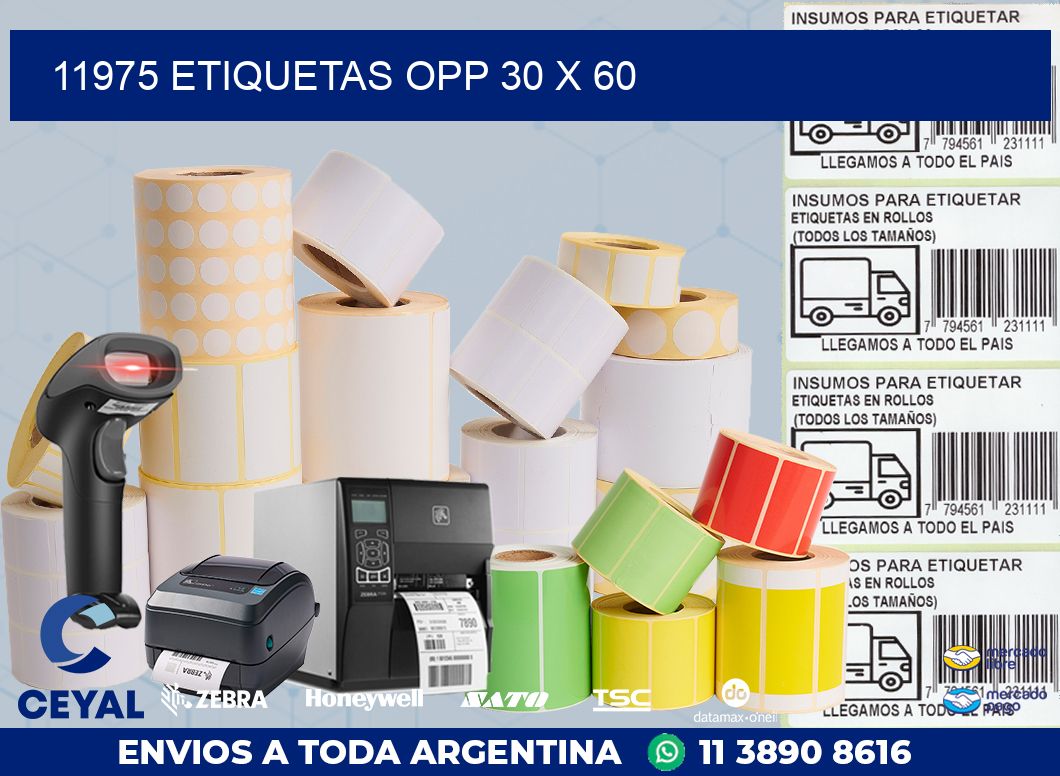 11975 ETIQUETAS OPP 30 X 60