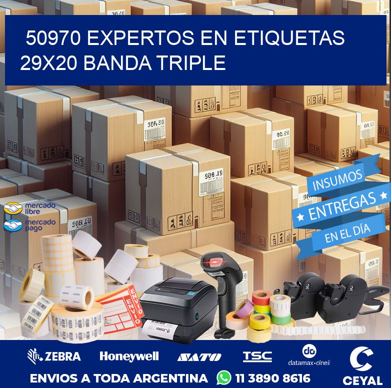 50970 EXPERTOS EN ETIQUETAS 29X20 BANDA TRIPLE