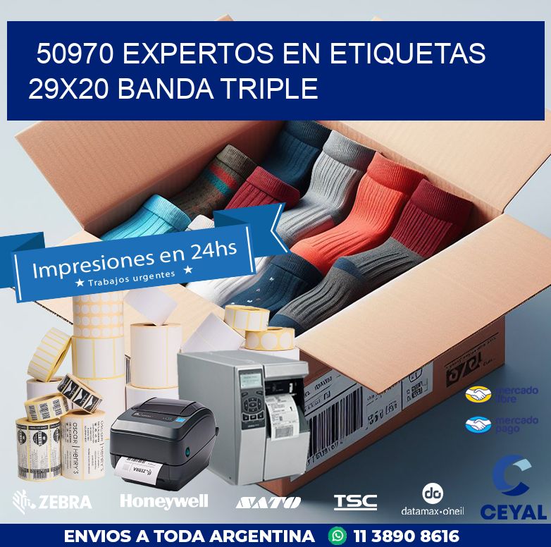 50970 EXPERTOS EN ETIQUETAS 29X20 BANDA TRIPLE