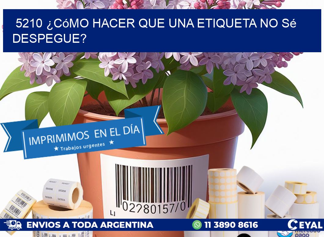 5210 ¿Cómo hacer que una etiqueta no sé despegue?