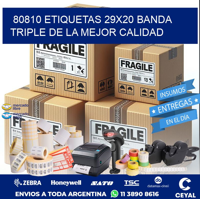 80810 ETIQUETAS 29X20 BANDA TRIPLE DE LA MEJOR CALIDAD