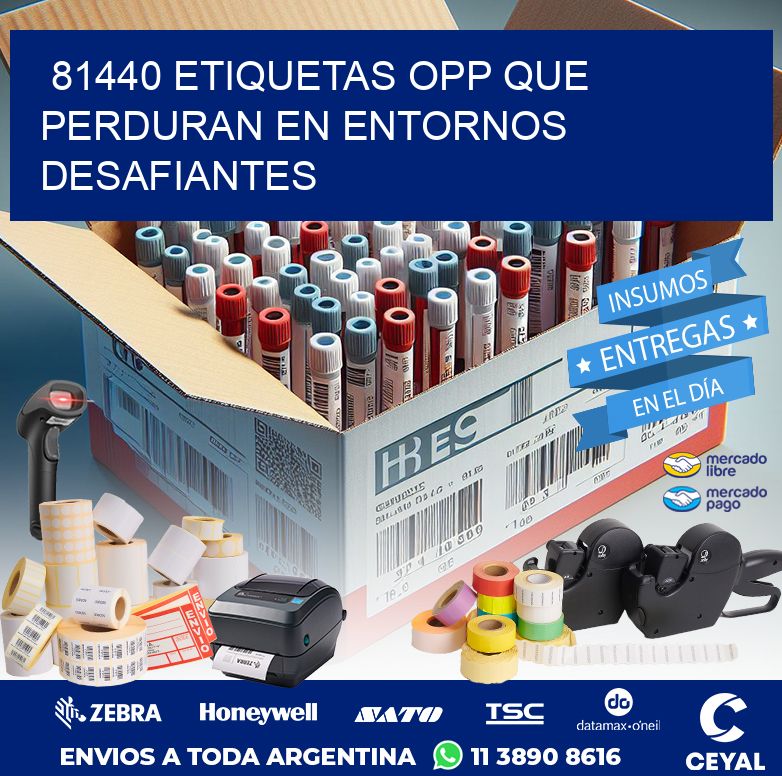 81440 ETIQUETAS OPP QUE PERDURAN EN ENTORNOS DESAFIANTES