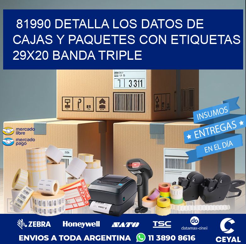 81990 DETALLA LOS DATOS DE CAJAS Y PAQUETES CON ETIQUETAS 29X20 BANDA TRIPLE