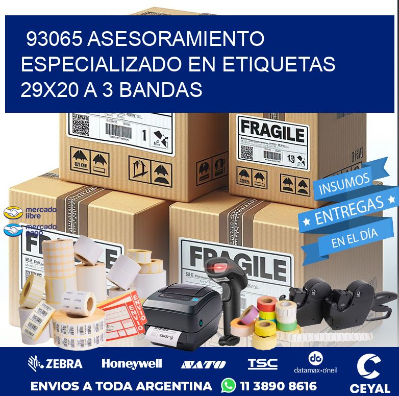 93065 ASESORAMIENTO ESPECIALIZADO EN ETIQUETAS 29X20 A 3 BANDAS