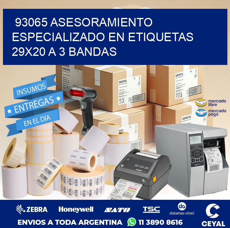 93065 ASESORAMIENTO ESPECIALIZADO EN ETIQUETAS 29X20 A 3 BANDAS