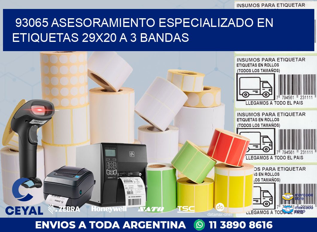 93065 ASESORAMIENTO ESPECIALIZADO EN ETIQUETAS 29X20 A 3 BANDAS