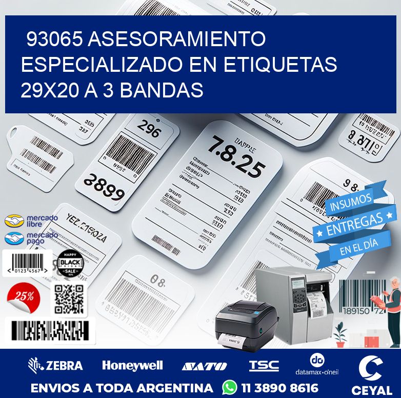 93065 ASESORAMIENTO ESPECIALIZADO EN ETIQUETAS 29X20 A 3 BANDAS