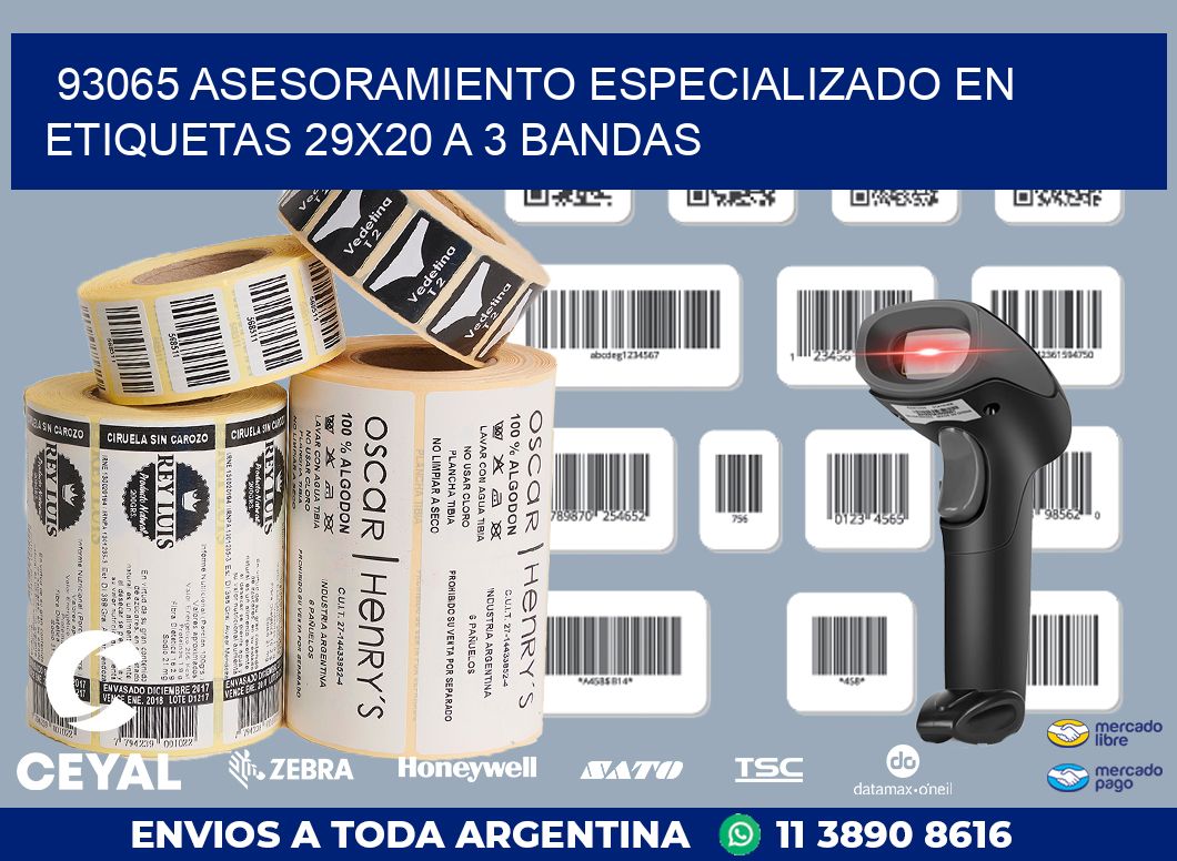 93065 ASESORAMIENTO ESPECIALIZADO EN ETIQUETAS 29X20 A 3 BANDAS