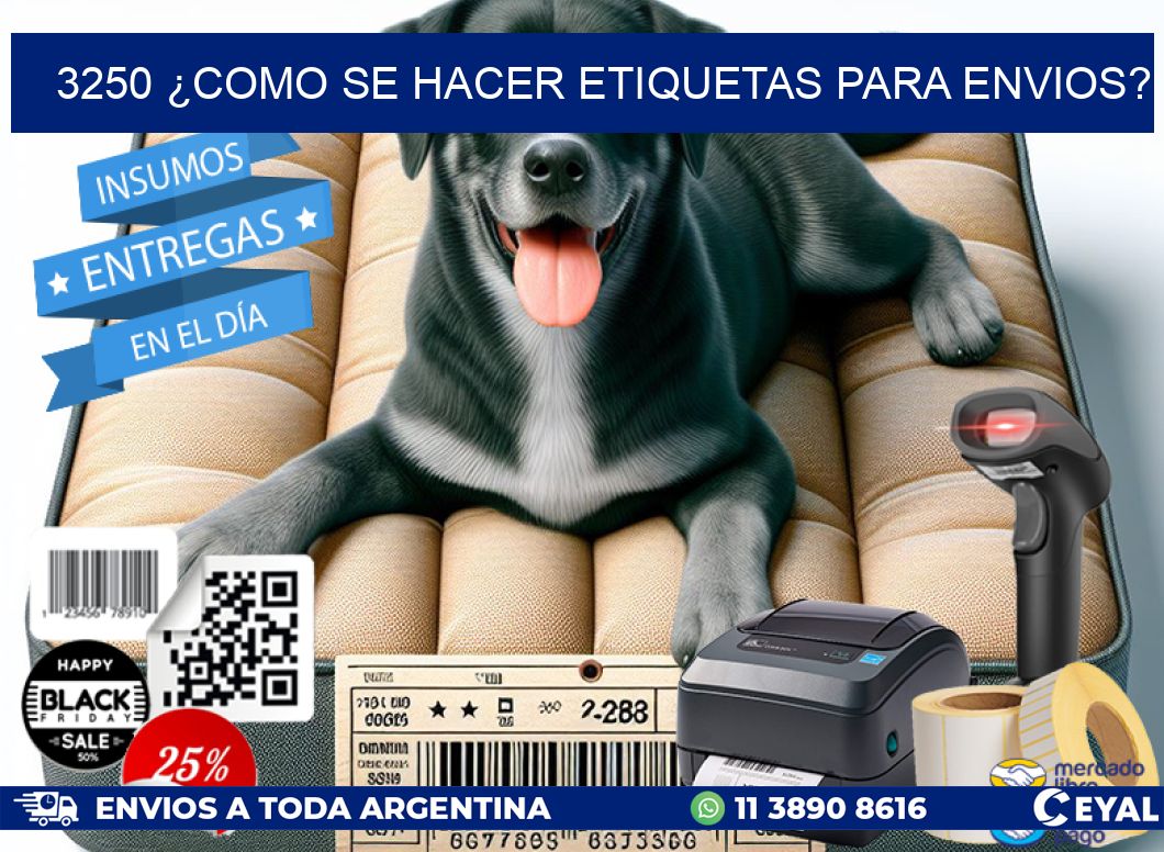 3250 ¿COMO SE HACER ETIQUETAS PARA ENVIOS?