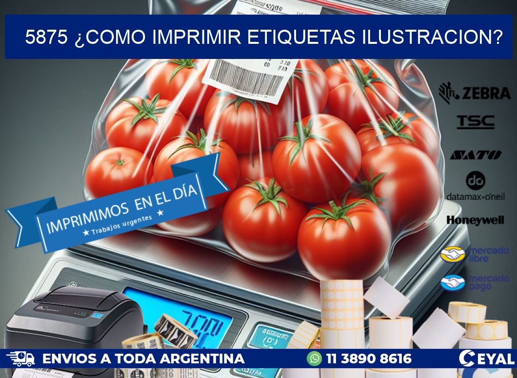 5875 ¿COMO IMPRIMIR ETIQUETAS ILUSTRACION?