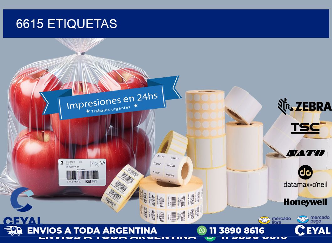 6615 ETIQUETAS