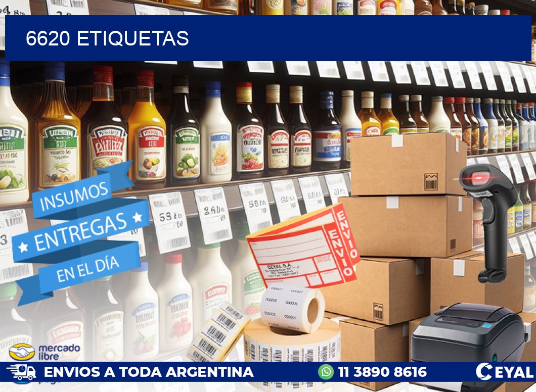6620 ETIQUETAS