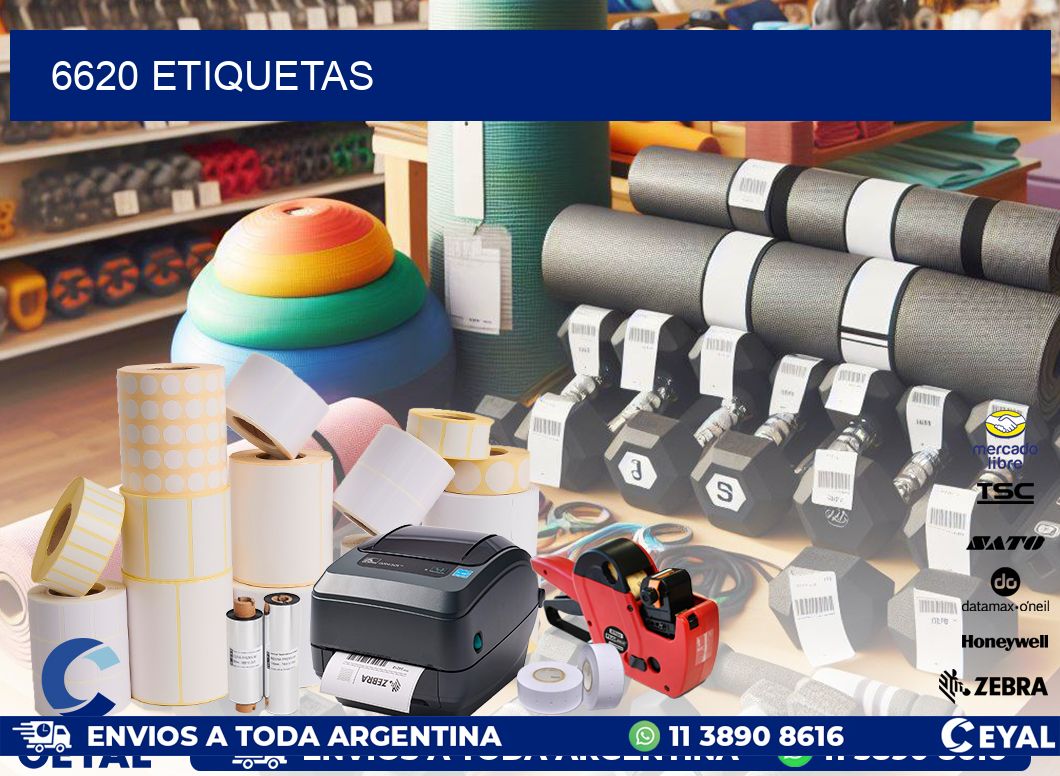 6620 ETIQUETAS