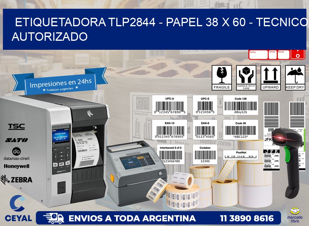 ETIQUETADORA TLP2844 - PAPEL 38 x 60 - TECNICO AUTORIZADO