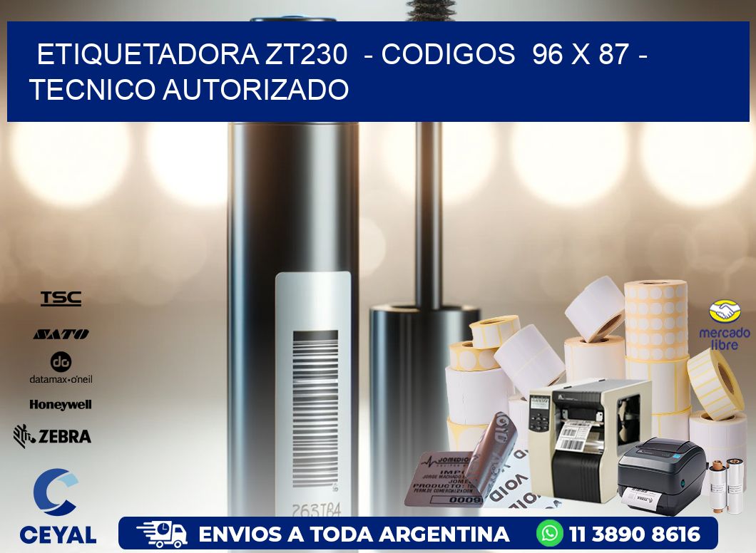 ETIQUETADORA ZT230  - CODIGOS  96 x 87 - TECNICO AUTORIZADO