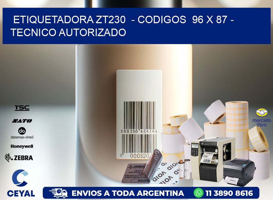 ETIQUETADORA ZT230  - CODIGOS  96 x 87 - TECNICO AUTORIZADO