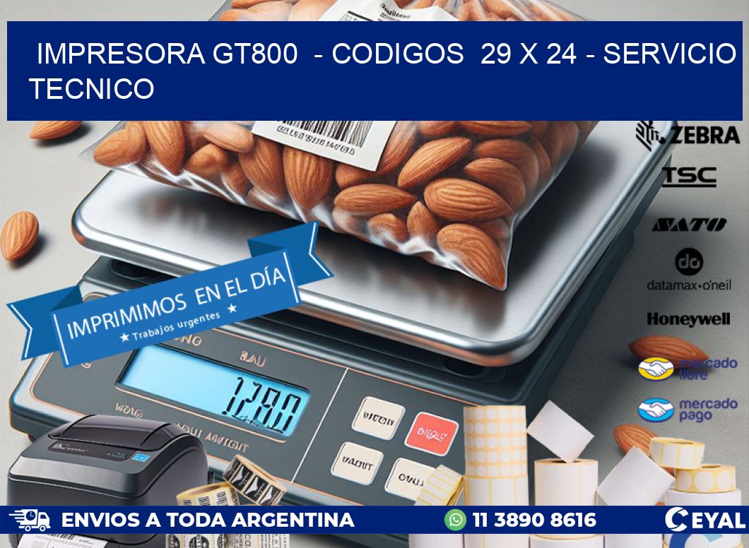 IMPRESORA GT800  - CODIGOS  29 x 24 - SERVICIO TECNICO