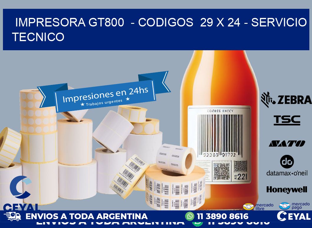 IMPRESORA GT800  - CODIGOS  29 x 24 - SERVICIO TECNICO