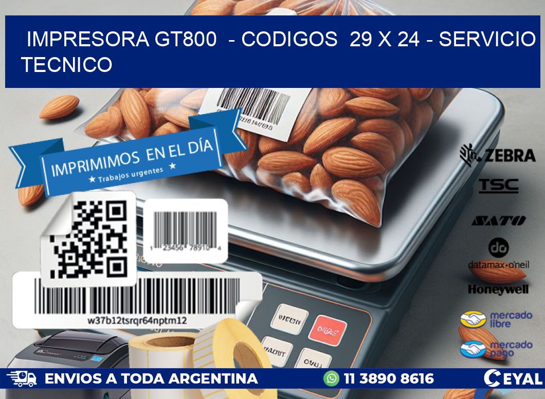 IMPRESORA GT800  – CODIGOS  29 x 24 – SERVICIO TECNICO