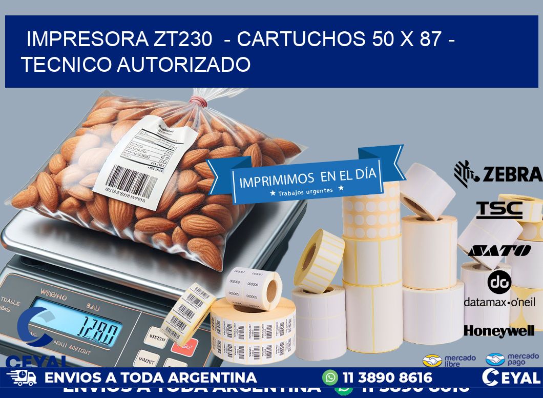 IMPRESORA ZT230  - CARTUCHOS 50 x 87 - TECNICO AUTORIZADO