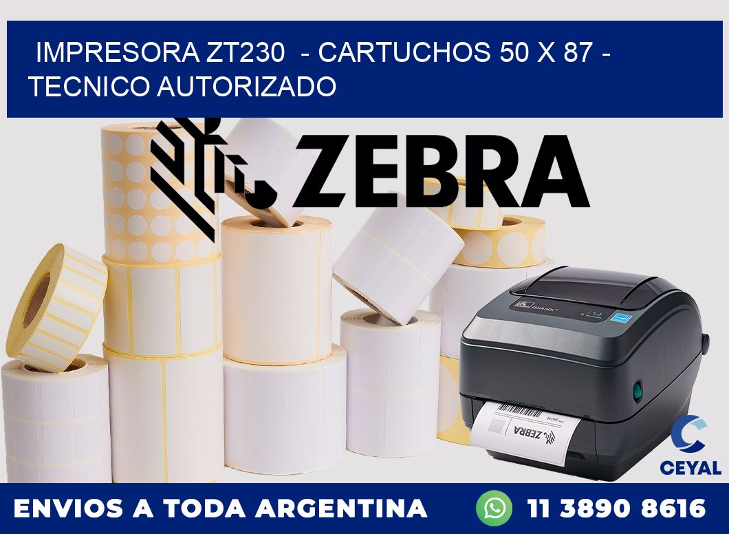 IMPRESORA ZT230  - CARTUCHOS 50 x 87 - TECNICO AUTORIZADO