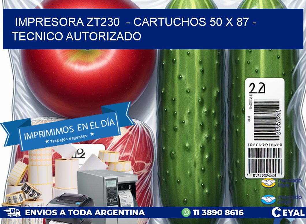 IMPRESORA ZT230  – CARTUCHOS 50 x 87 – TECNICO AUTORIZADO