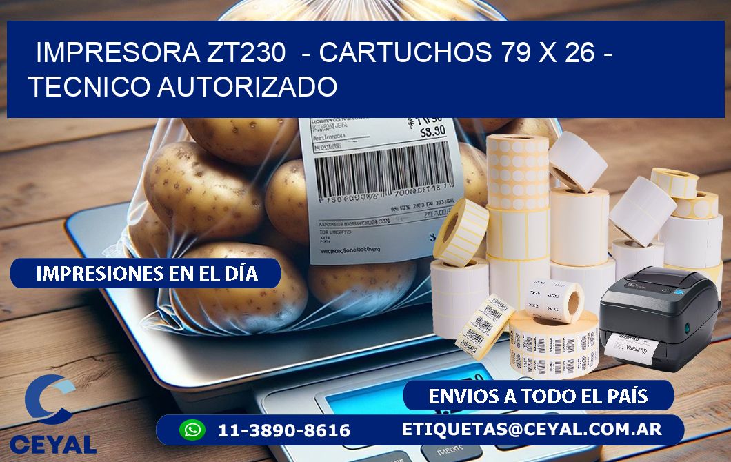 IMPRESORA ZT230  - CARTUCHOS 79 x 26 - TECNICO AUTORIZADO