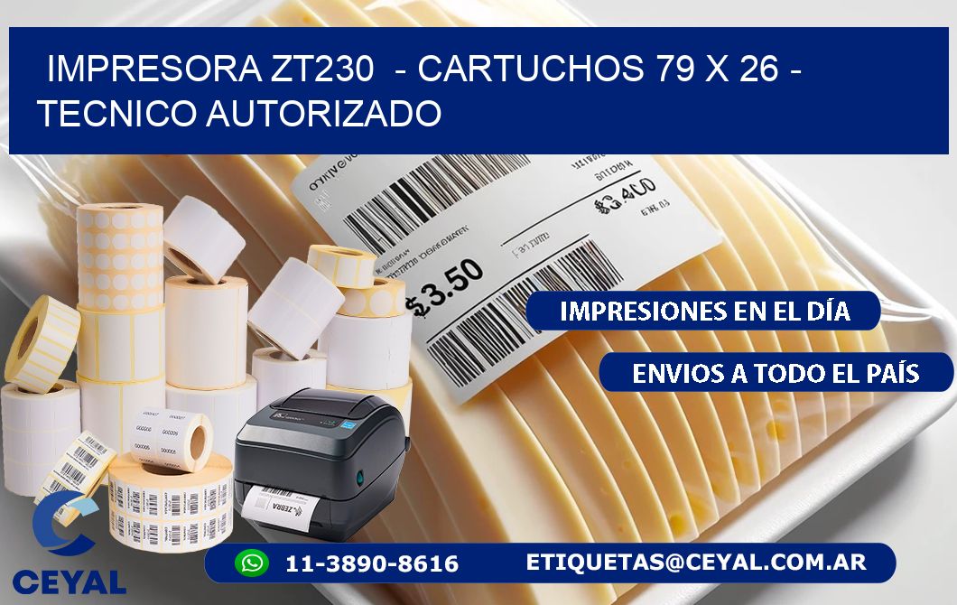 IMPRESORA ZT230  - CARTUCHOS 79 x 26 - TECNICO AUTORIZADO