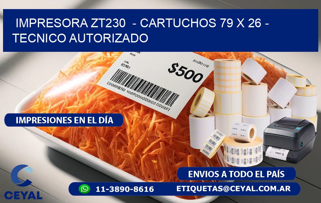 IMPRESORA ZT230  - CARTUCHOS 79 x 26 - TECNICO AUTORIZADO