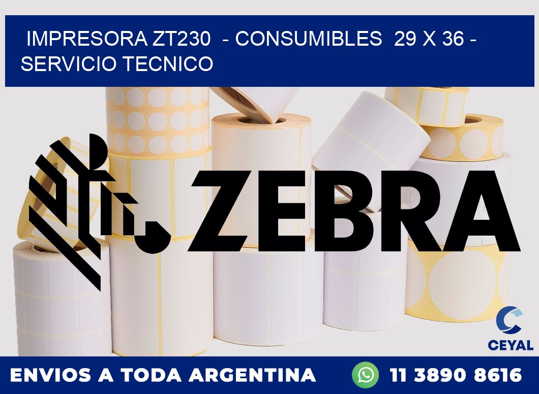 IMPRESORA ZT230  - CONSUMIBLES  29 x 36 - SERVICIO TECNICO