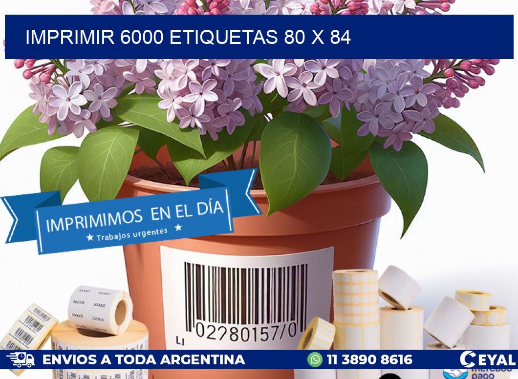 IMPRIMIR 6000 ETIQUETAS 80 x 84